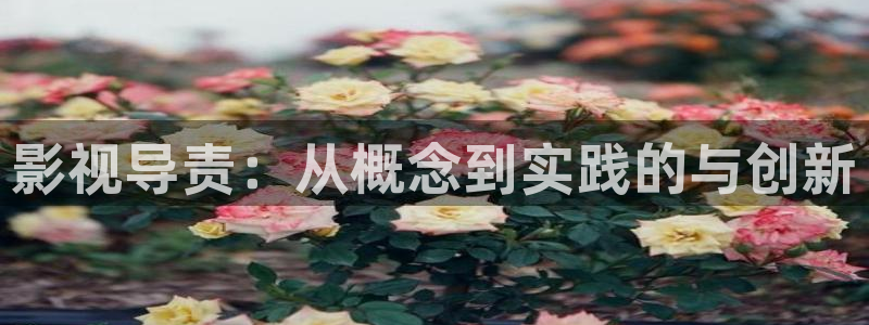 大泡泡机：影视导责：从概念到实践的与创新
