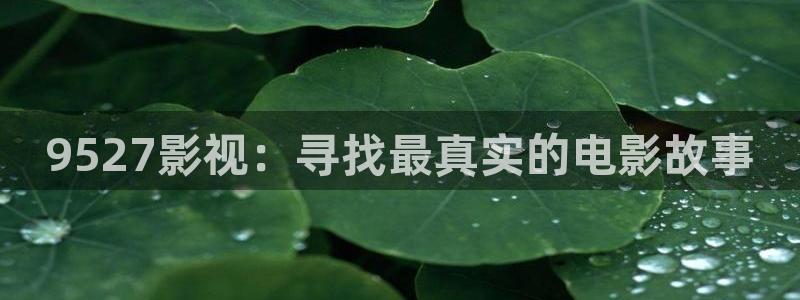 泡泡影视大全app：9527影视：寻找最真实的电影故事