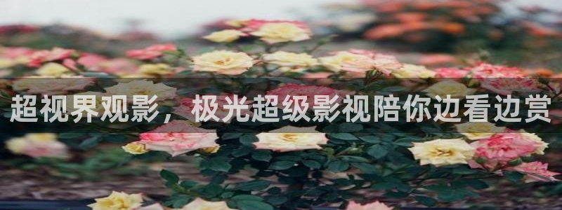 泡泡手机影视天堂：超视界观影，极光超级影视陪你边看边赏