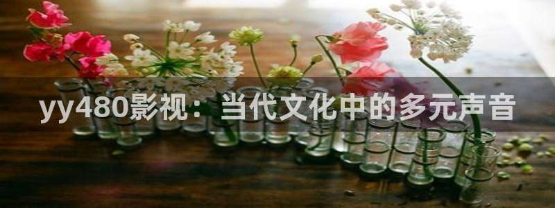 泡泡洗衣片好用吗：yy480影视：当代文化中的多元声音