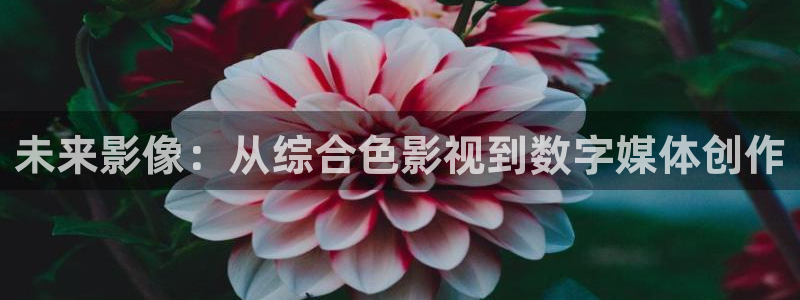 泡泡影视天堂影院：未来影像：从综合色影视到数字媒体创作