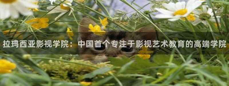 猪泡泡影视：拉玛西亚影视学院：中国首个专注于影视艺术教育的高端学院