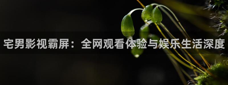 泡泡影视天堂：宅男影视霸屏：全网观看体验与娱乐生活深度