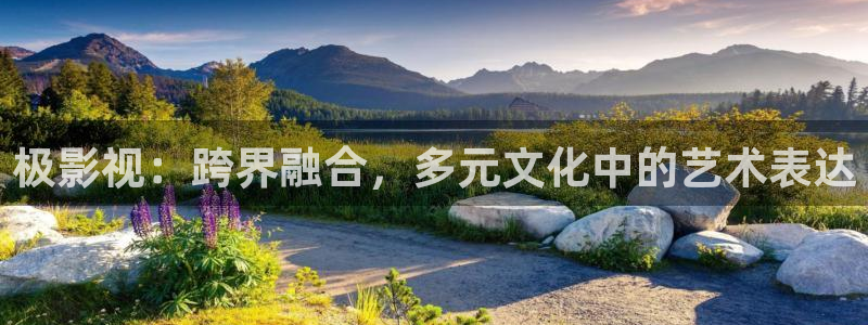 泡泡影院影视大全：极影视：跨界融合，多元文化中的艺术表达