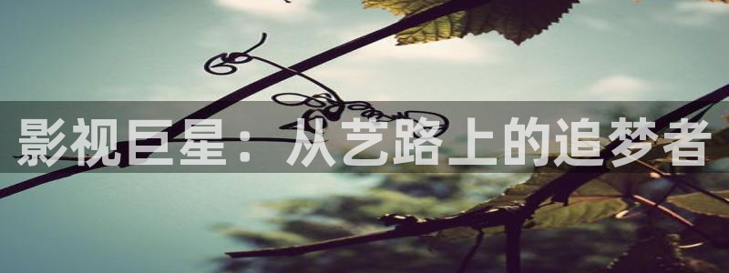 泡泡影视哈：影视巨星：从艺路上的追梦者