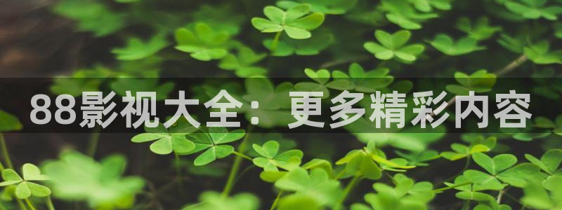 理论片泡泡影视：88影视大全：更多精彩内容
