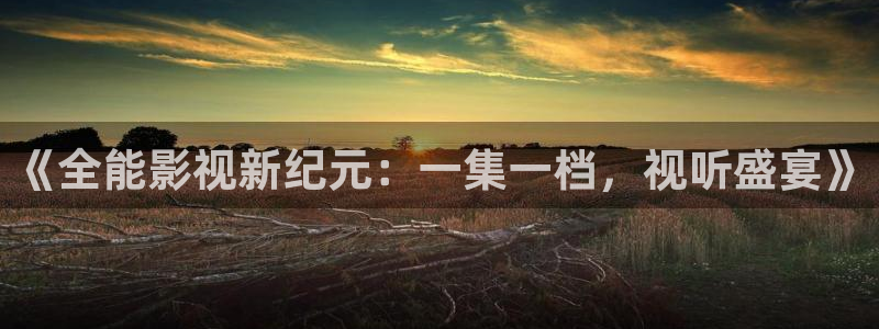 泡泡电影免费大全：《全能影视新纪元：一集一档，视听盛宴》